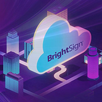 Plants: image 4 0f 4 thumb